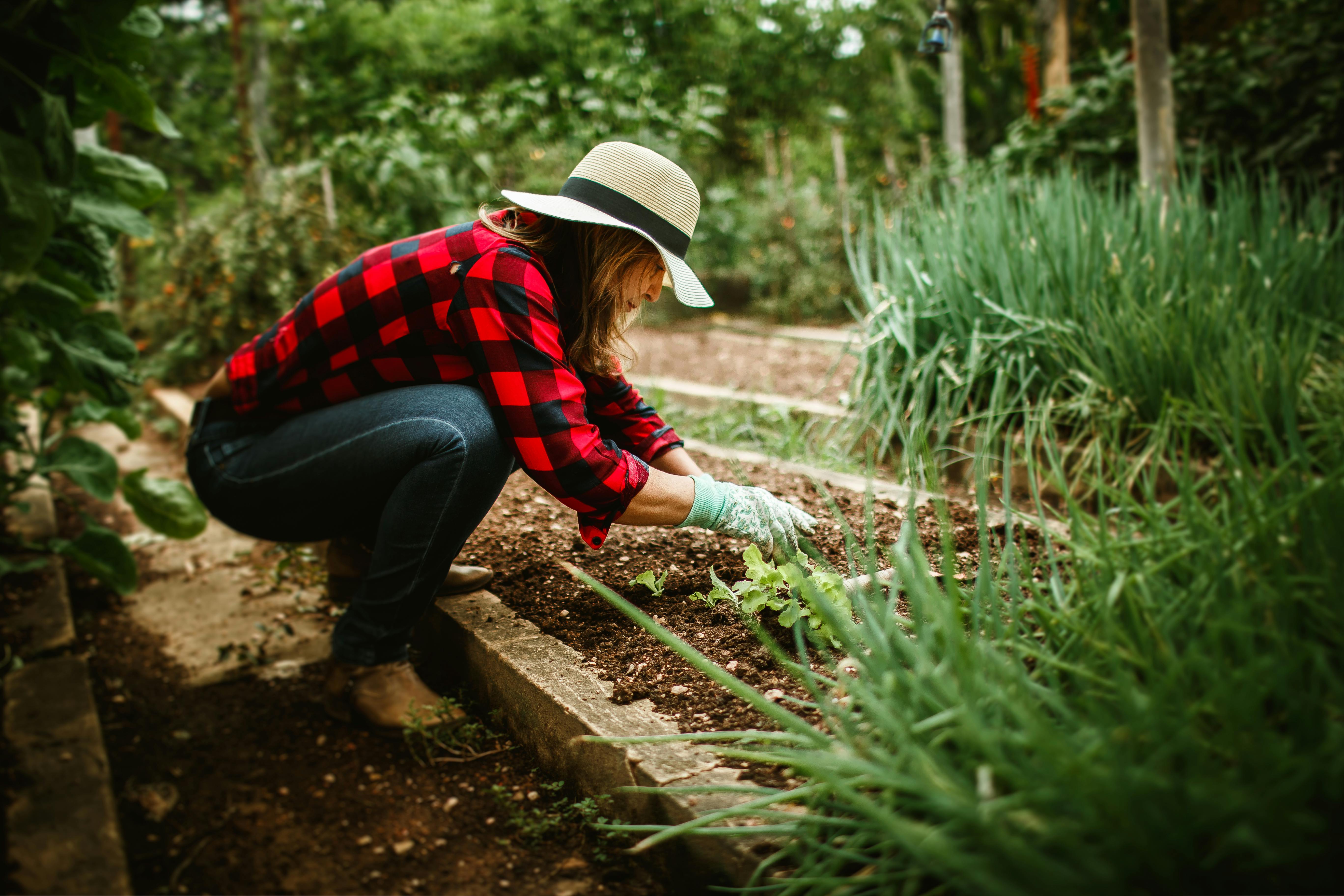 planting-melbourne